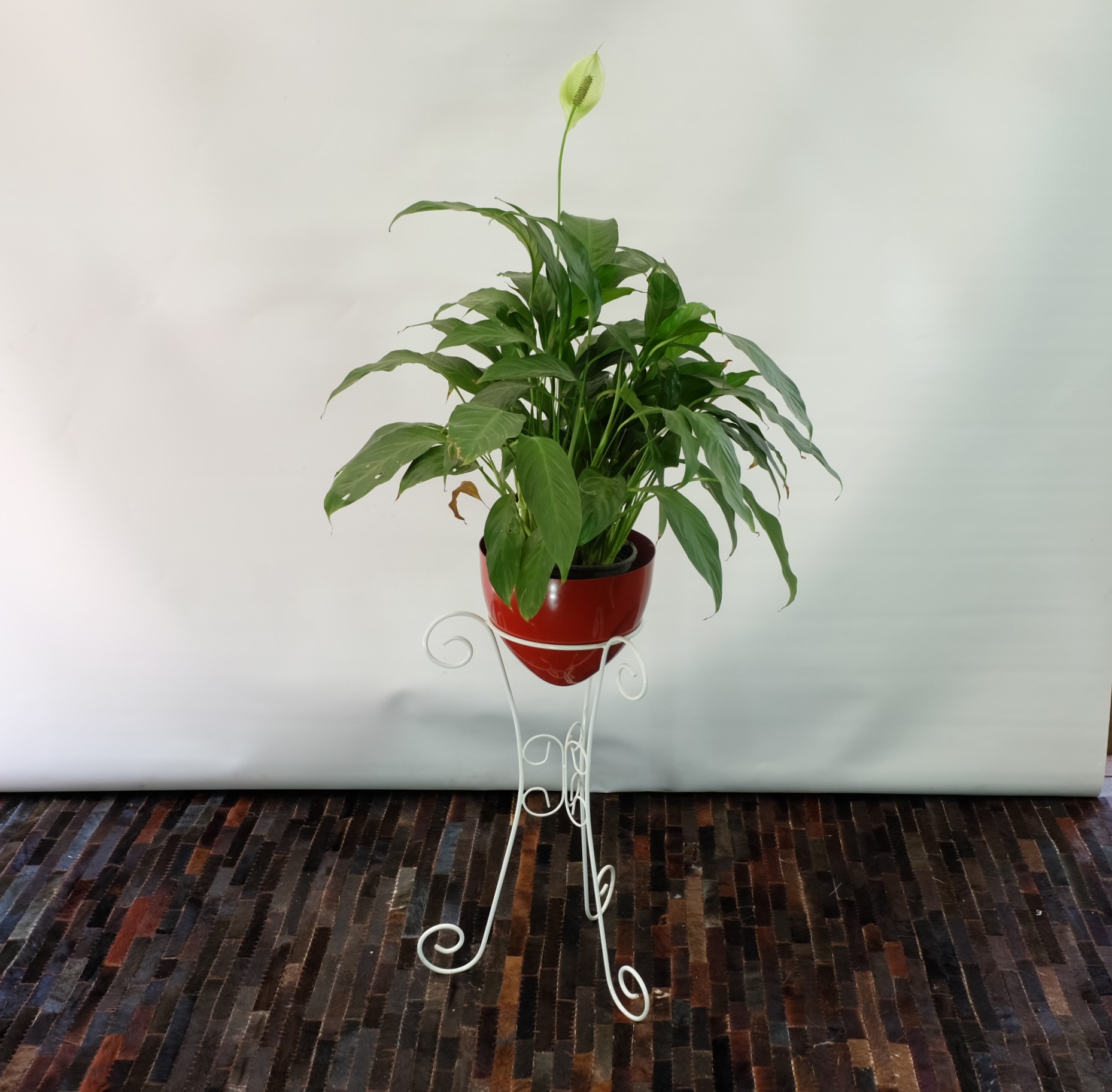 Mid Century Plant Stand - Function In Form