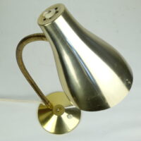Gooseneck Lamp in Champayne